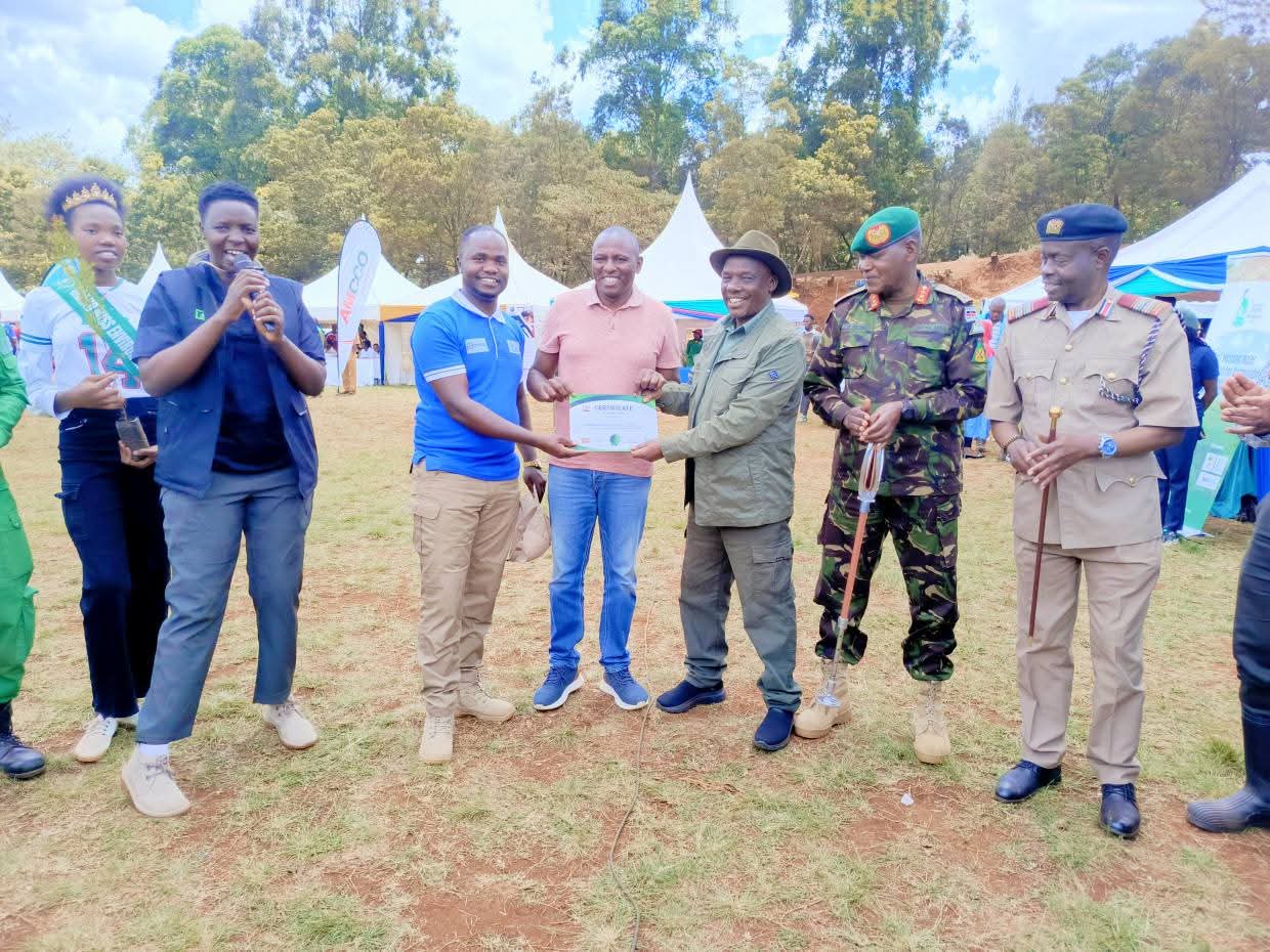 Environment day